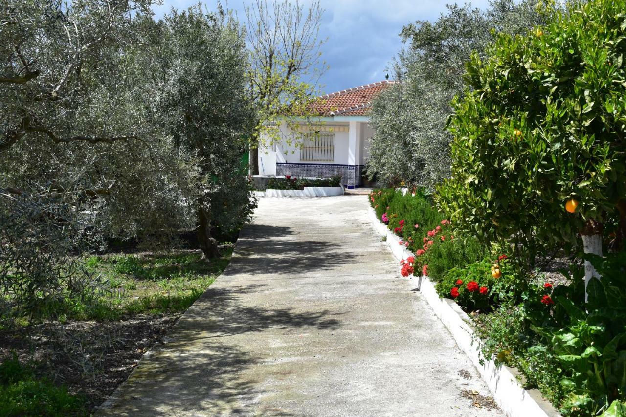 Casa Rural Alejo Málaga Buitenkant foto